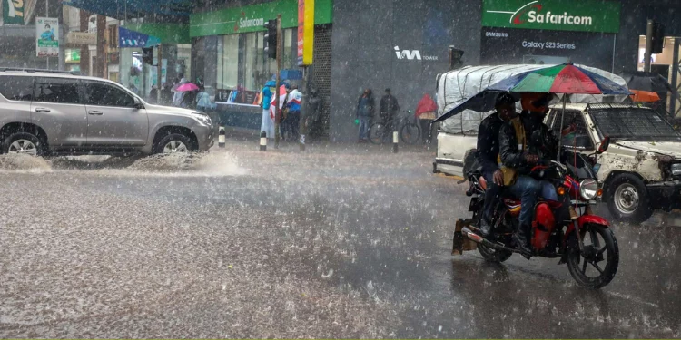 Eight counties to get rain as El Niño looms