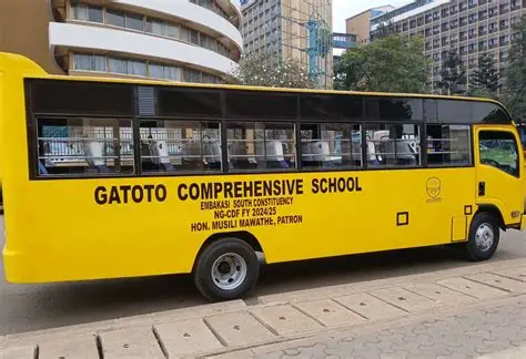 Gatoto School: Court dismisses stay bid, orders full compliance by August 18
