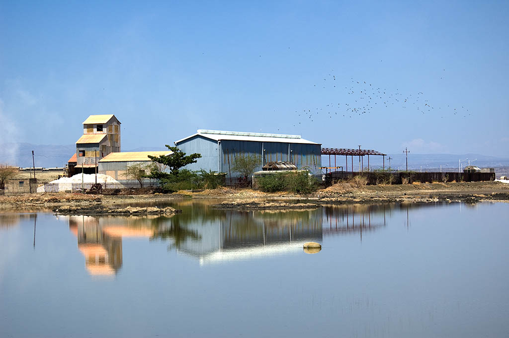 DCP leaders link Tata Chemicals Magadi shutdown to Ruto’s alleged commercial interests
