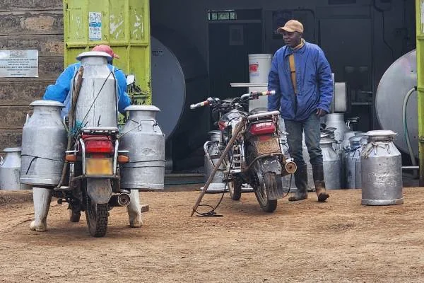 Milk Today, Unga Tomorrow? The Kenyan Foods Most Exposed to the Drought