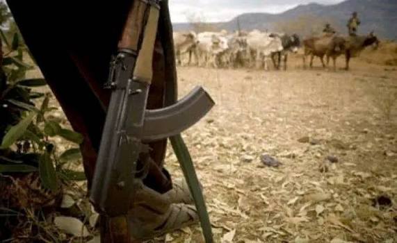 Two police officers among five killed in Isiolo attack