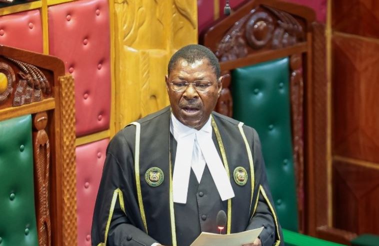 Kenyan Petitions Parliament for Stronger IPOA, KNCHR and Ombudsman Powers